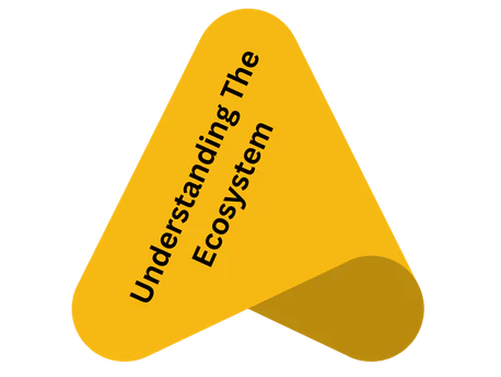 Understanding the ecosystem